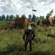 Image for article titled The Witcher 3 Already Has Some Useful Mods